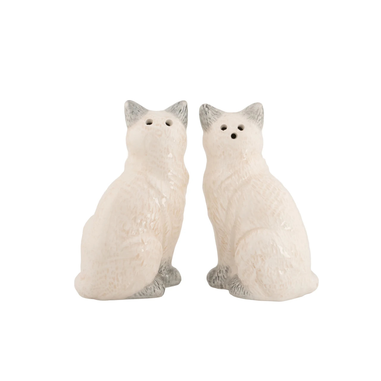 Ragdoll Cat Salt & Pepper Set