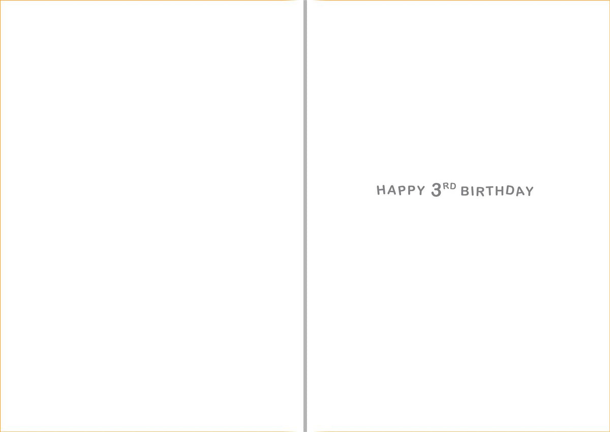 3rd Birthday Greetings Card