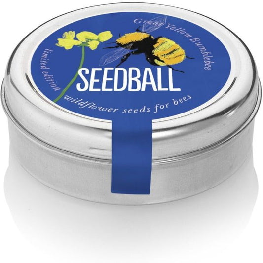 Great Yellow Bumblebee Seedball Tin
