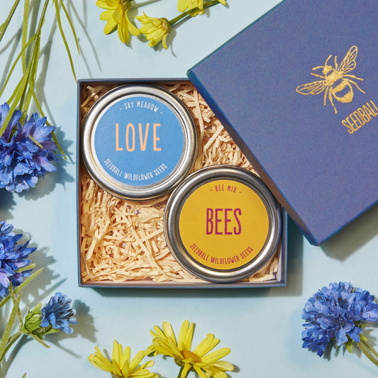 Love Bees Seedball Gift Set