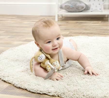 Guess How Much I Love You Silicone Teether