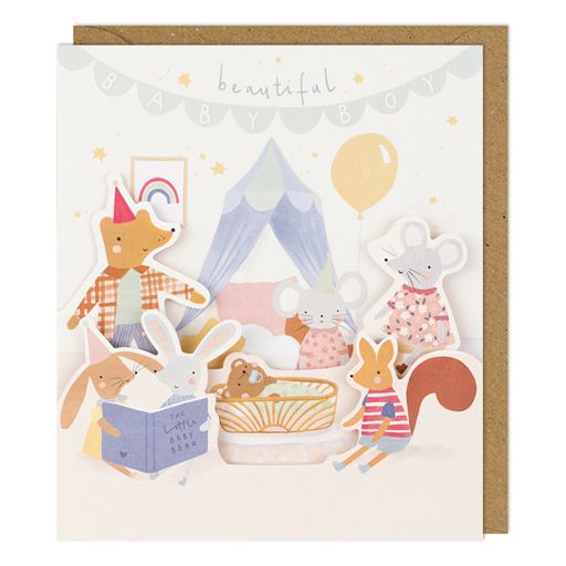 Fold Out Baby Boy Greetings Card