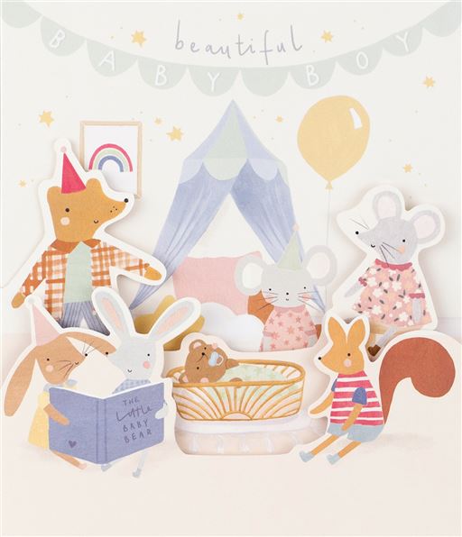 Fold Out Baby Boy Greetings Card
