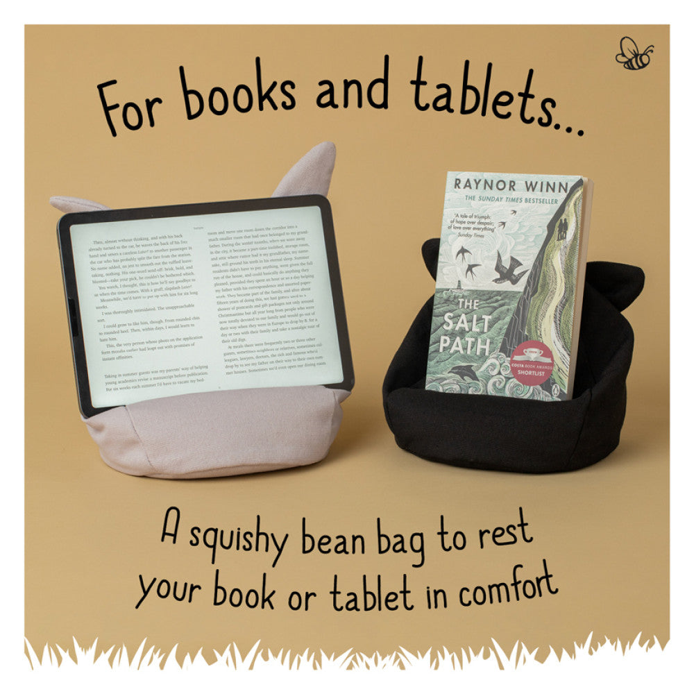 Booktales Cosy Reading Rests Dragon