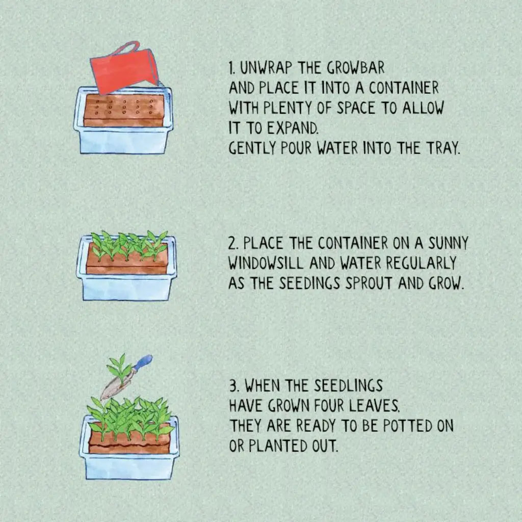 The Sunflower Grow Bar