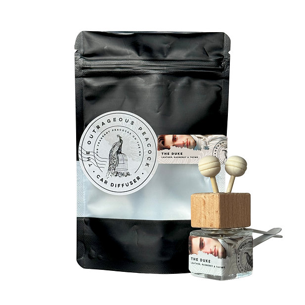 Car Air Diffuser Duke