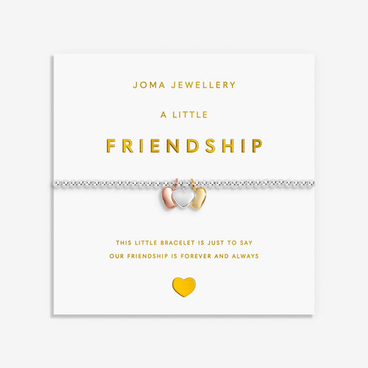 A Little ‘Friendship’ Bracelet Silver, Gold & Rose Gold