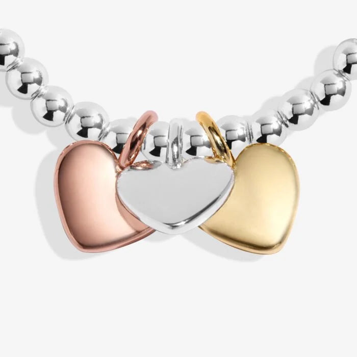 A Little ‘Friendship’ Bracelet Silver, Gold & Rose Gold