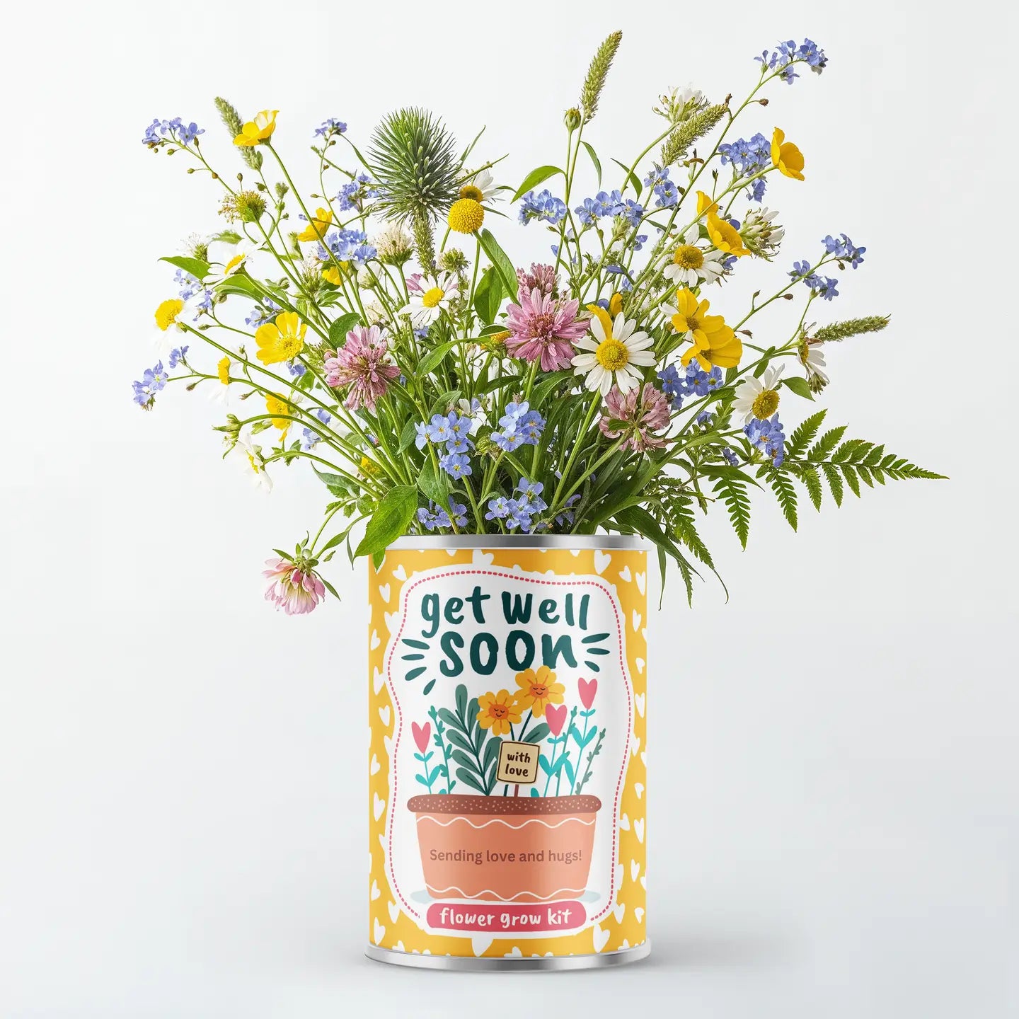 Get Well Soon Flower Grow Kit