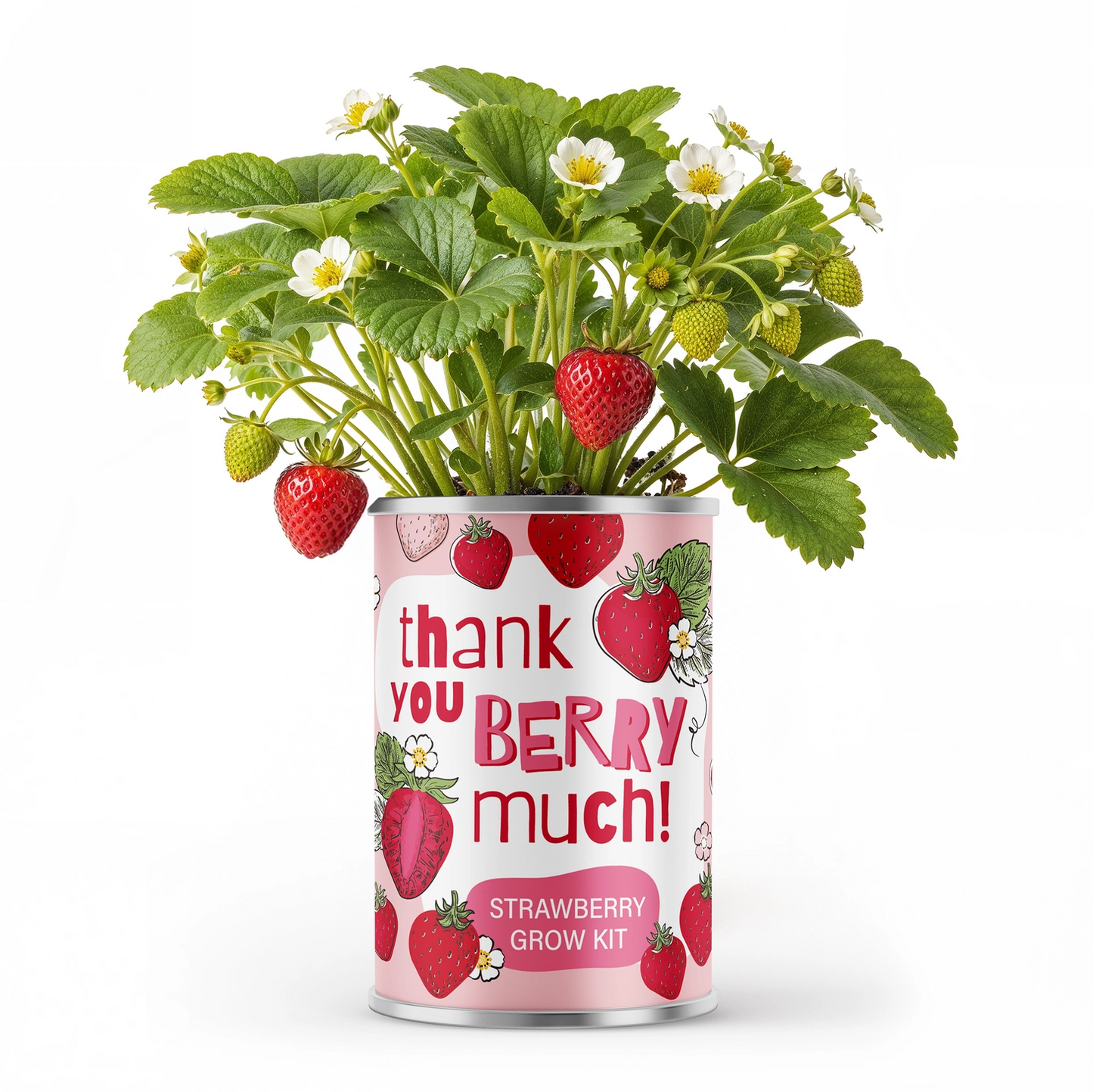 Thank You Berry Much! – Strawberry Grow Kit