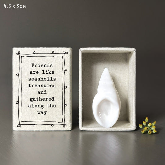 Friends Are Like Matchbox Shell