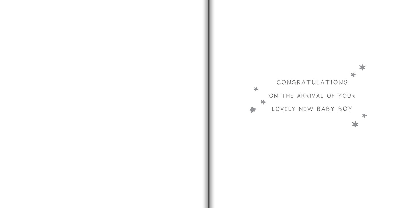 Precious Baby Boy Greetings Card