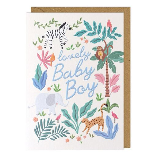 Lovely Baby Boy Greetings Card