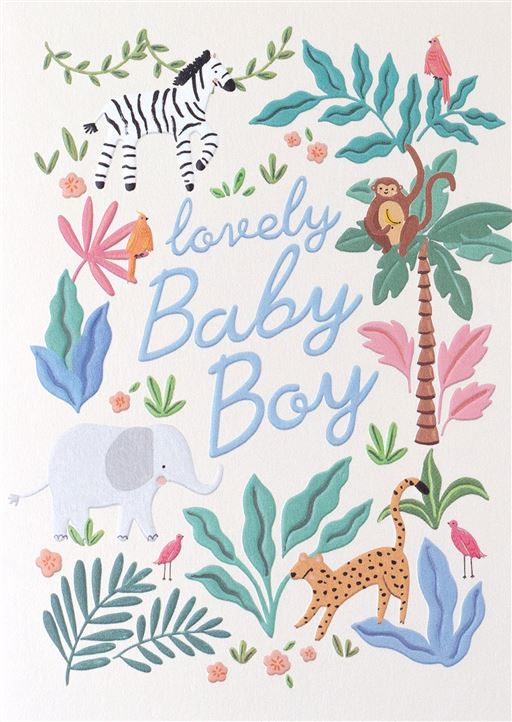 Lovely Baby Boy Greetings Card