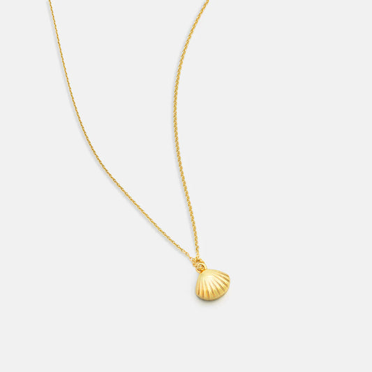 Scallop Shell Necklace Gold