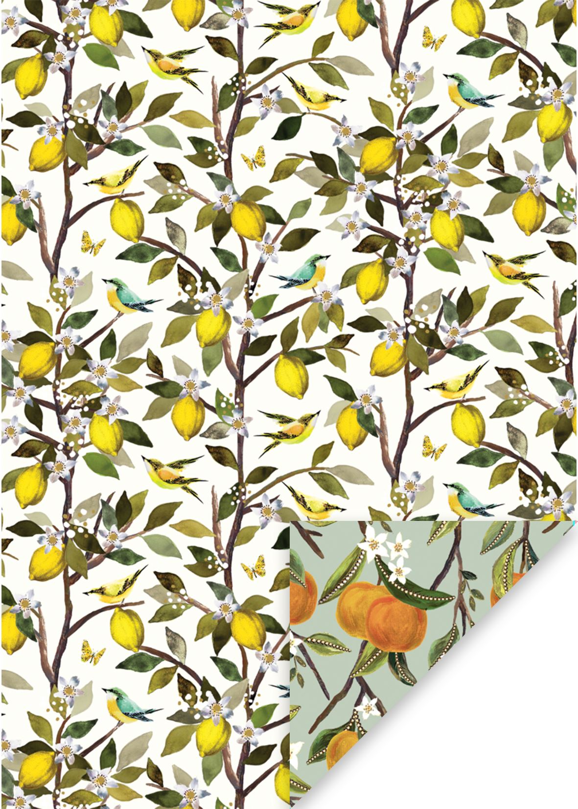 Oranges & lemons Alternative Fruits Gift Wrap