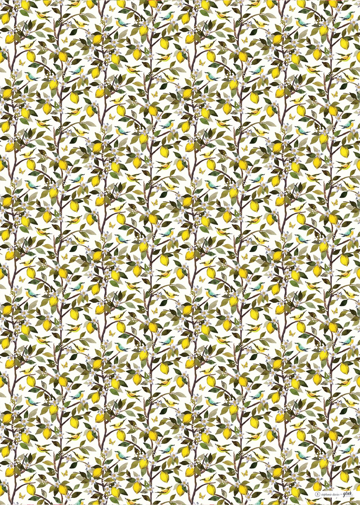 Oranges & lemons Alternative Fruits Gift Wrap