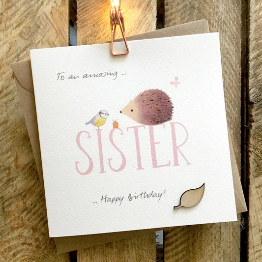 To An Amazing Sister Birthday Greetings Card