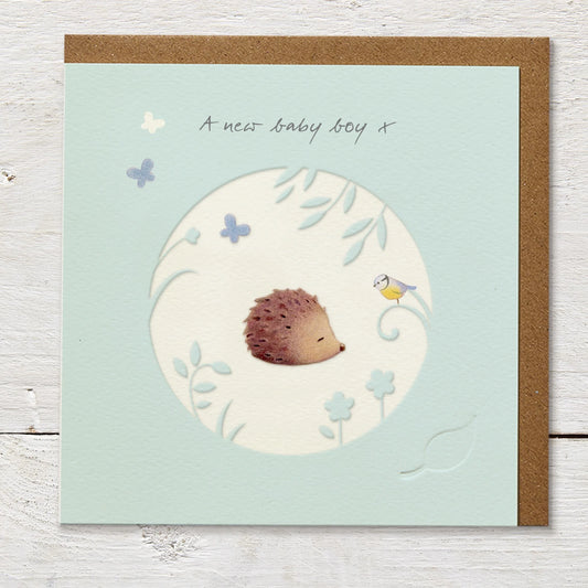 A New Baby Boy Blue Hedgehog Greetings Card