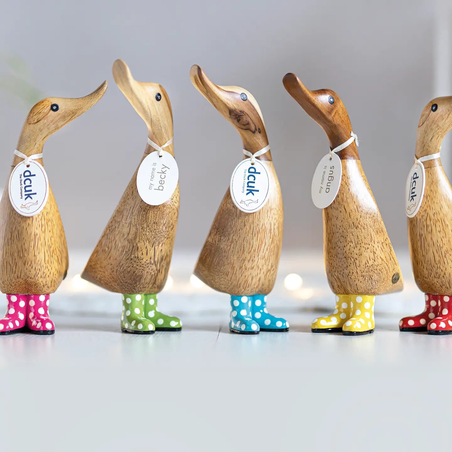 DCUK Spotty Boot Ducklings