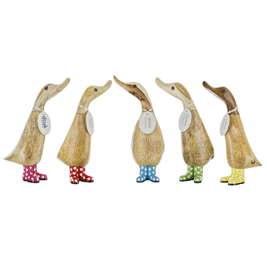 DCUK Spotty Boot Ducklings