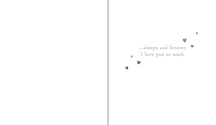 To My Wife Anniversary Greetings Card