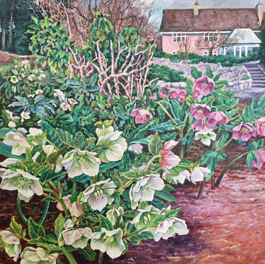 Abundance Of Hellebores Greetings Card By Zoe Norman