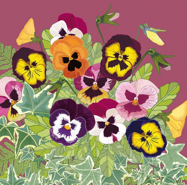 Pansies Greetings Card By Mig Wyeth