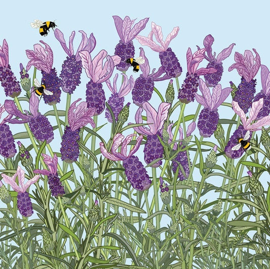 French Lavender Greetings Card By Mig Wyeth