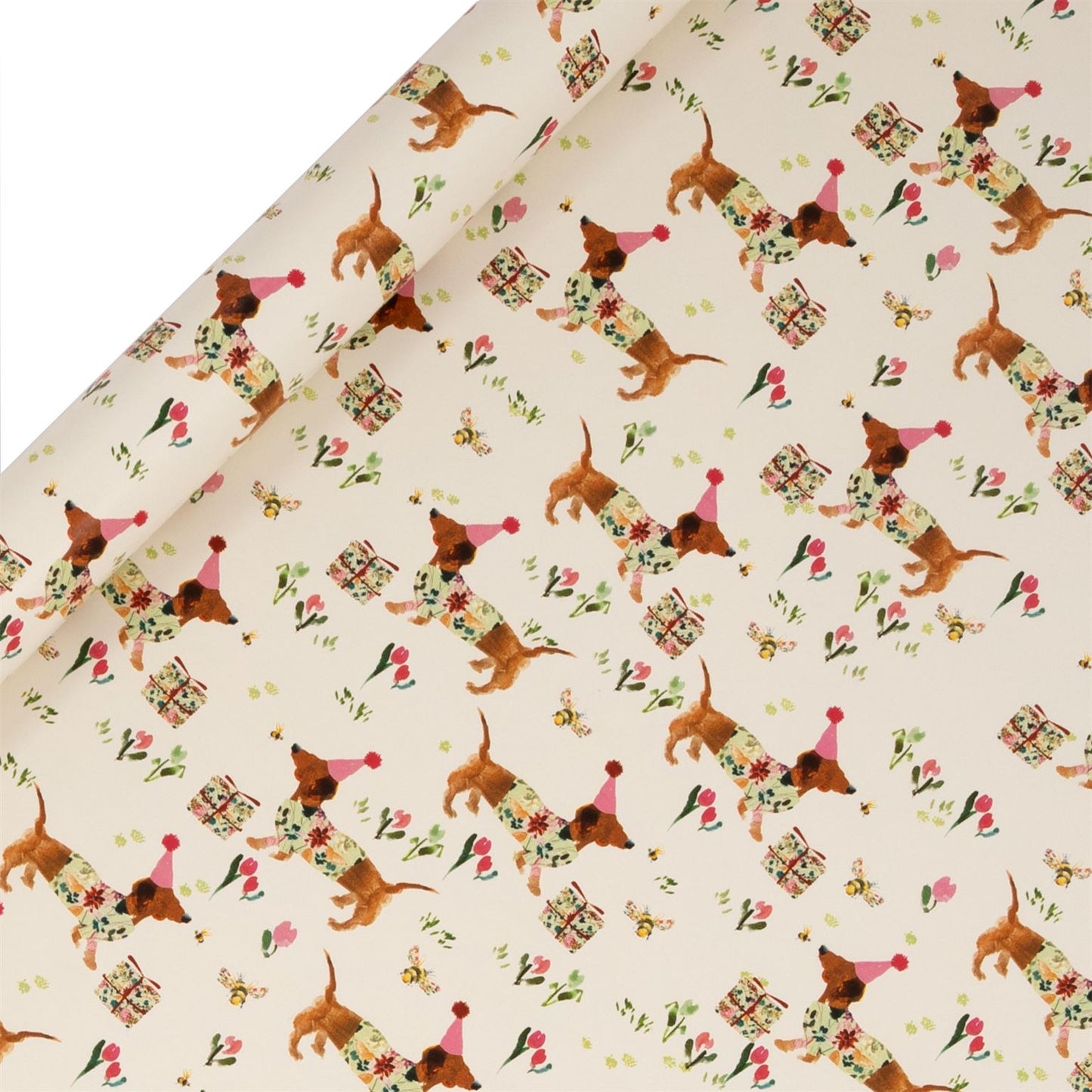 Birthday Sausage Dog 4m Gift Roll Wrap