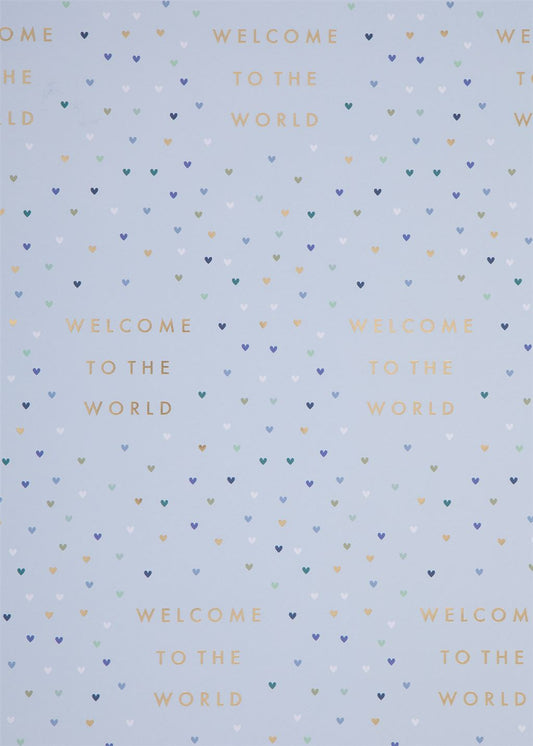 Welcome To The World Baby Flat Wrap Blue