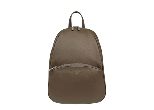 David Jones Backpack Mist Moss