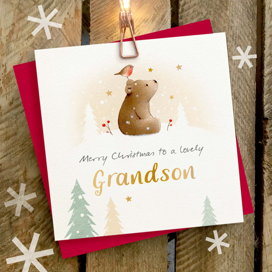 Grandson Christmas Greetings Card