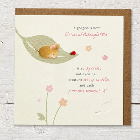 New Granddaughter Greetings Card