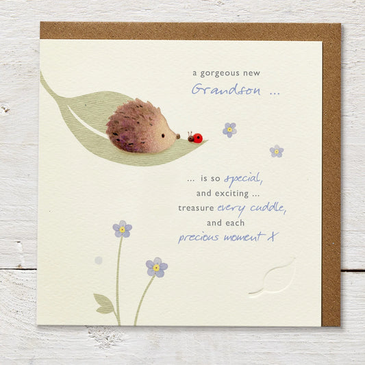 New Grandson Greetings Card