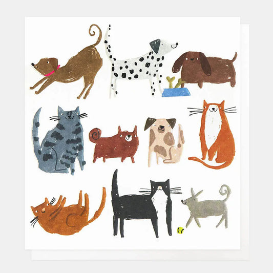 Mixed Cats & Dogs Greetings Card