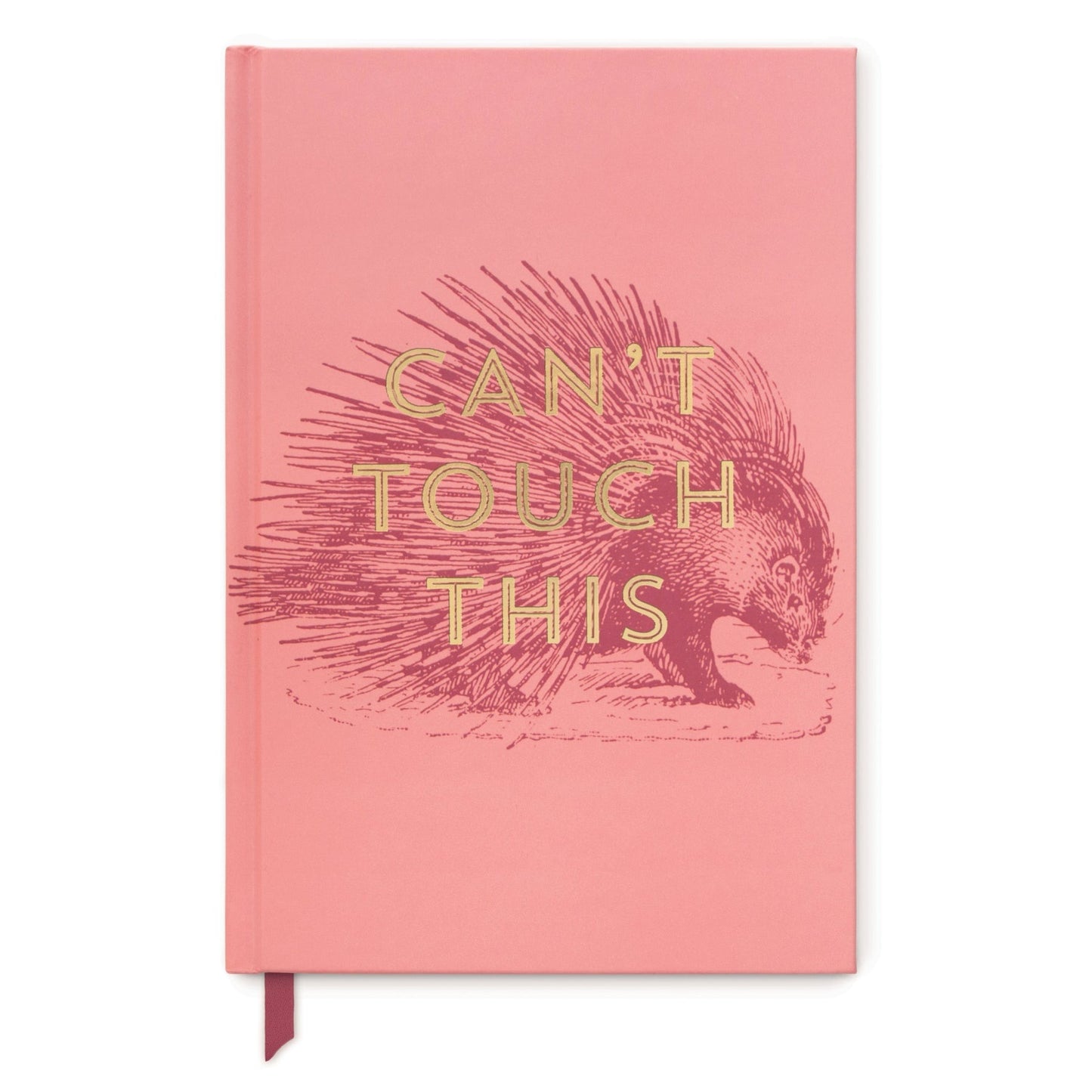 Can’t Touch This Journal