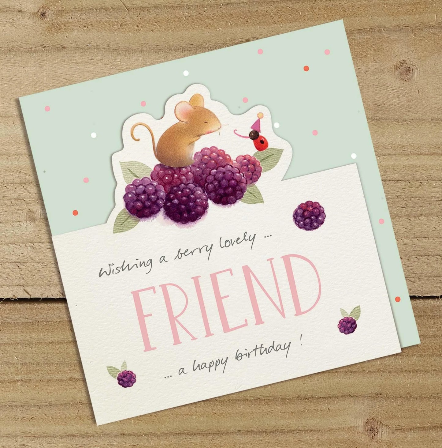 Mouse & Blackberries Friend Birthday Greetings Card