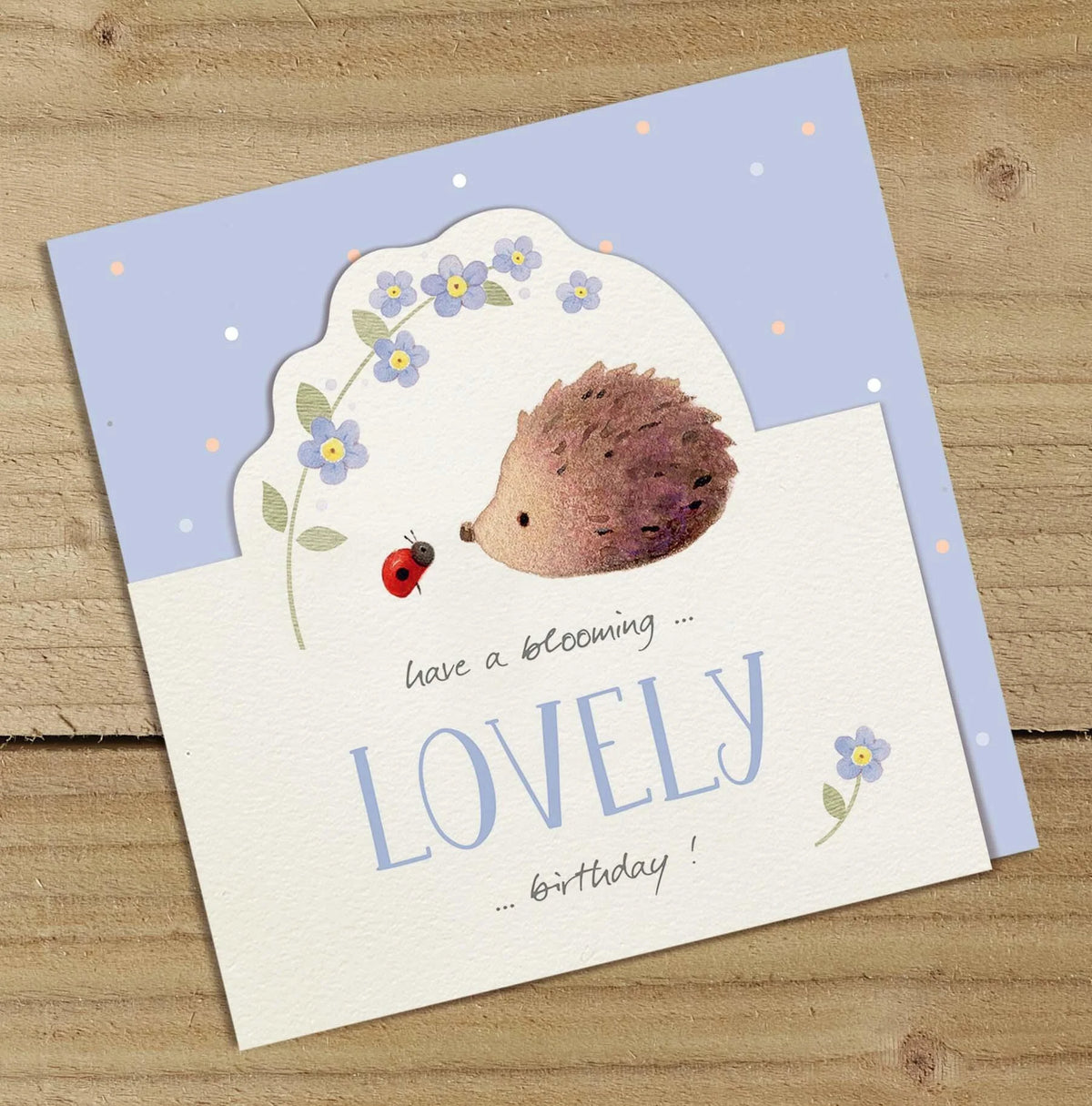 Hedgehog & Flowers Greetings Card