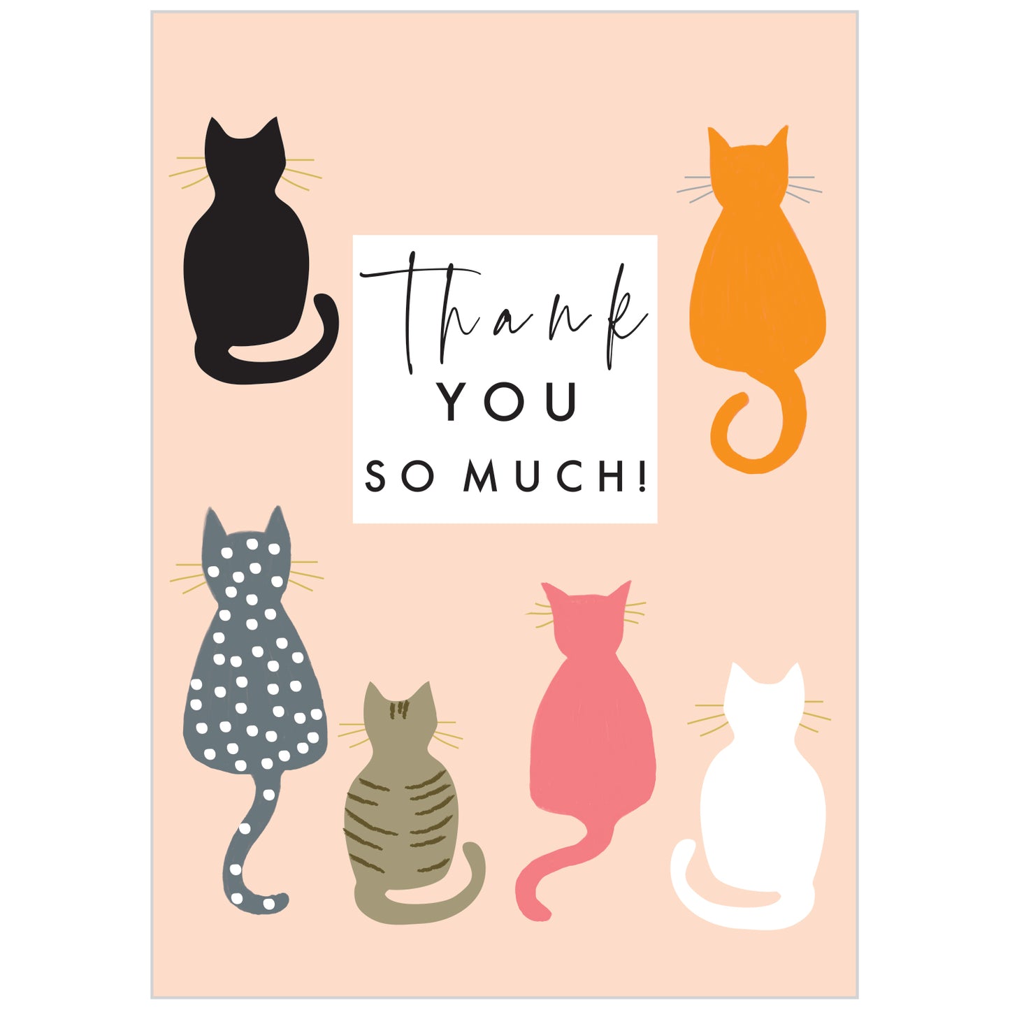 Thank You Notecards Pack Cats