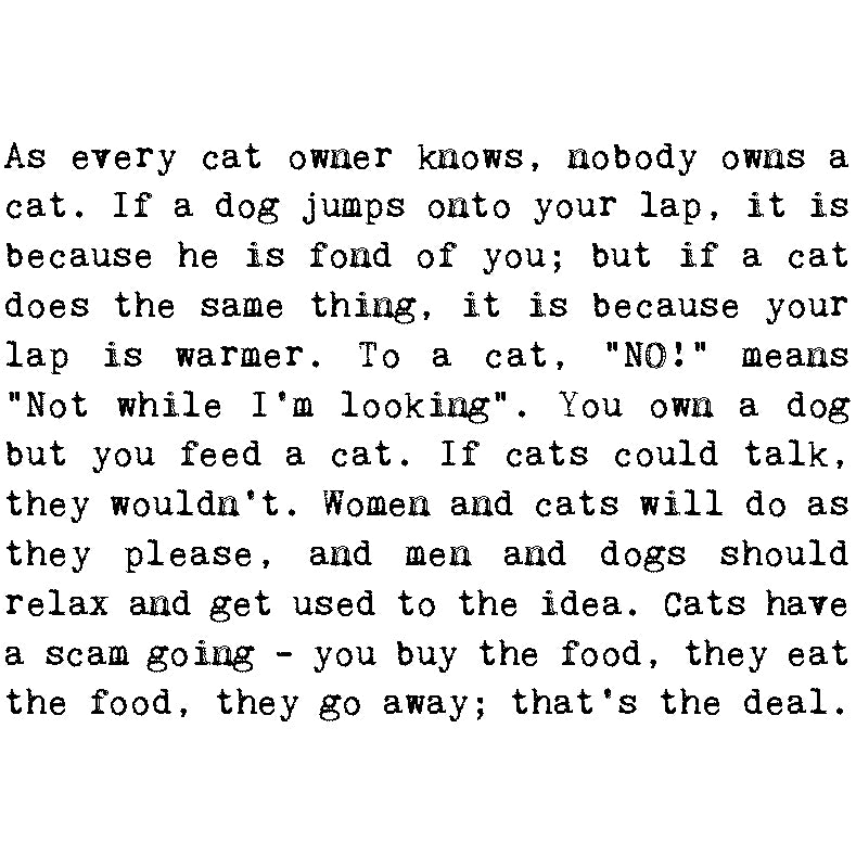 Cat Lover Heartwarming Quotes Mug