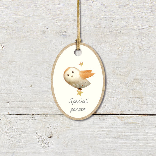 Special Person Owl Wooden Plaque