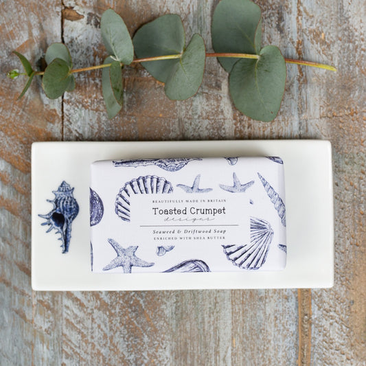 Conch Shell Rectangular Bone China Soap Dish