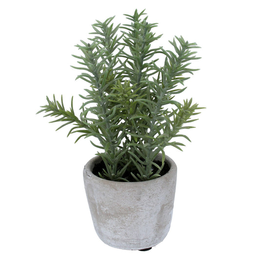 Faux Potted Rosemary In Stone Effect Pot