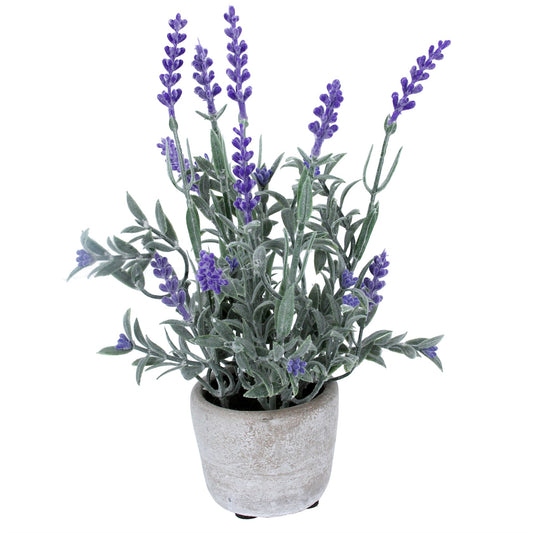 Faux Potted Lavender In Stone Effect Pot