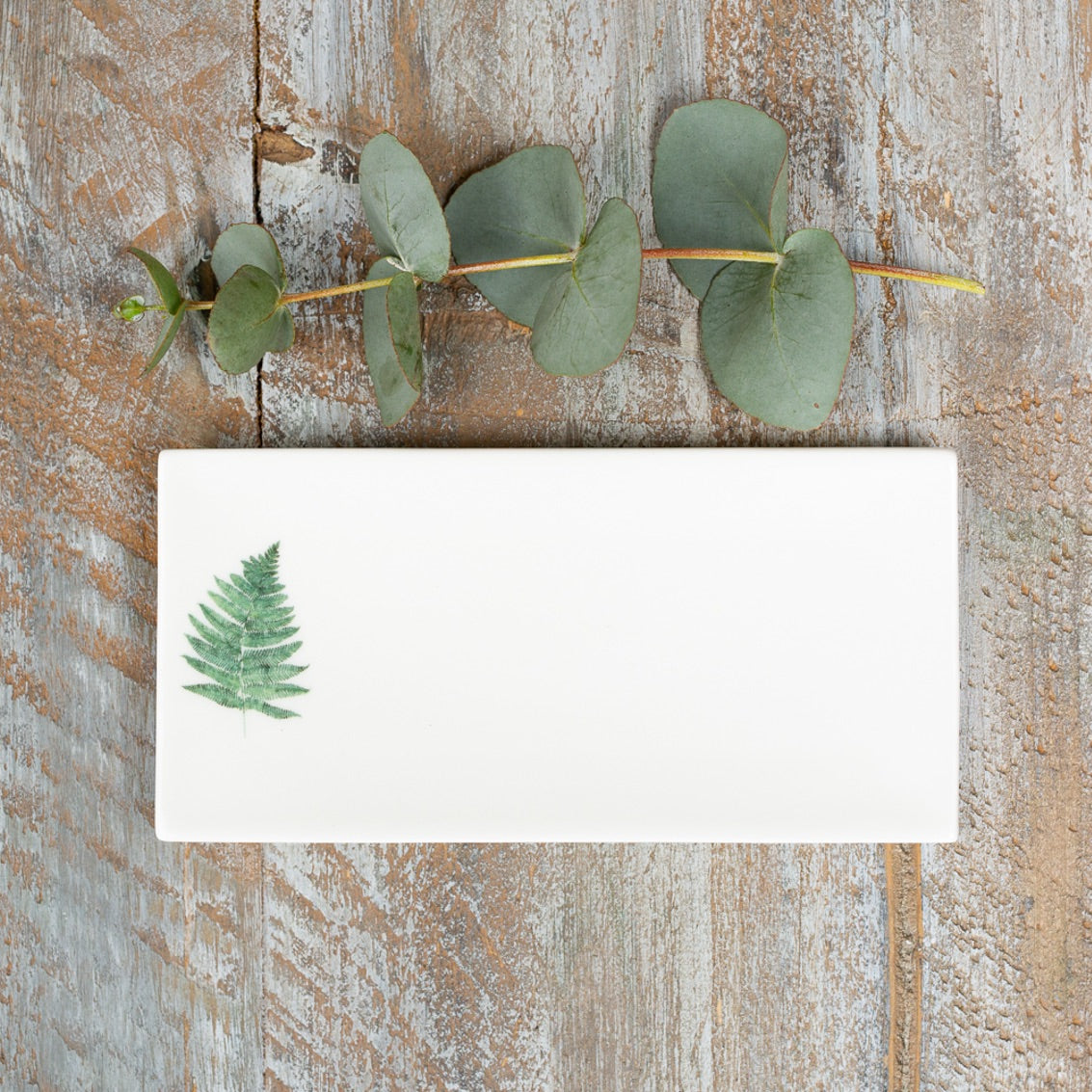 Fern Rectangular Bone China Soap Dish