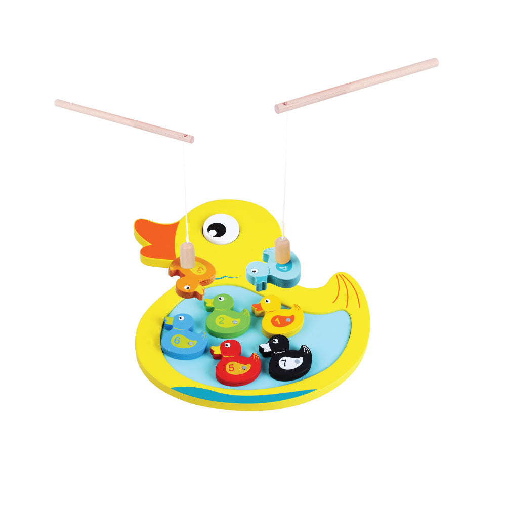 Hook A Duck Magnetic Game