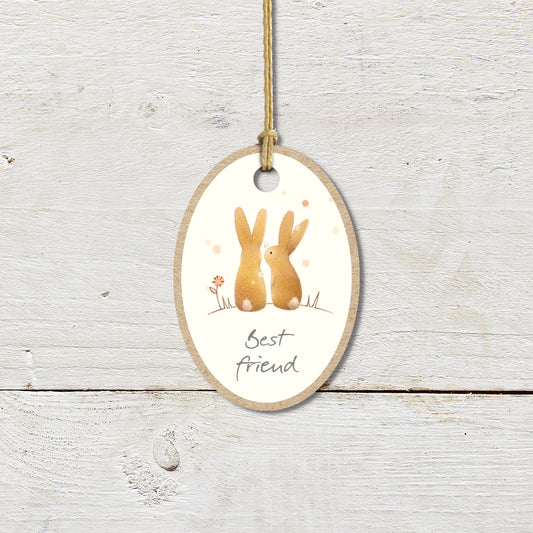 Best Friend Rabbit Plaque