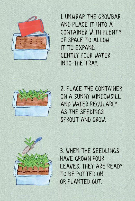 The Butterfly Grow Bar