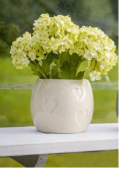 Ceramic Heart Debossed Flower Pot Ivory
